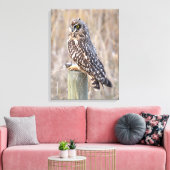 Toile Hibou des marais avec Campagnol (Insitu(Salon))