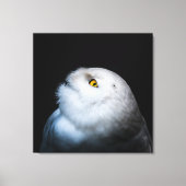 Toile Hibou des neiges blanc d'hiver (Recto)