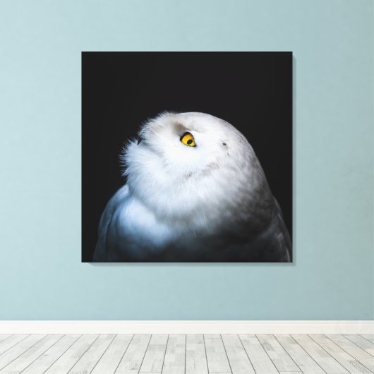 Toile Hibou des neiges blanc d'hiver (Insitu (Plancher de Bois))