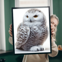 Hibou des neiges boréal