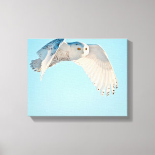 Toile Hibou des neiges en vol