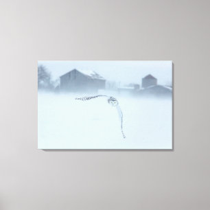 Toile Hibou des neiges en vol en hiver