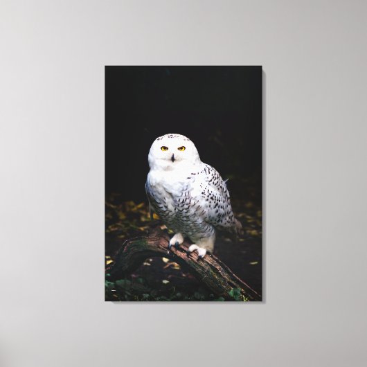 Toile Hibou des neiges majestueux d'hiver (Recto)