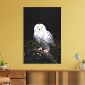Toile Hibou des neiges majestueux d'hiver (Insitu(Salon))
