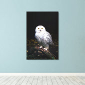 Toile Hibou des neiges majestueux d'hiver (Insitu (Plancher de Bois))
