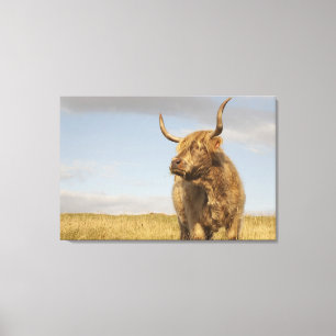 Toile Highland Cow