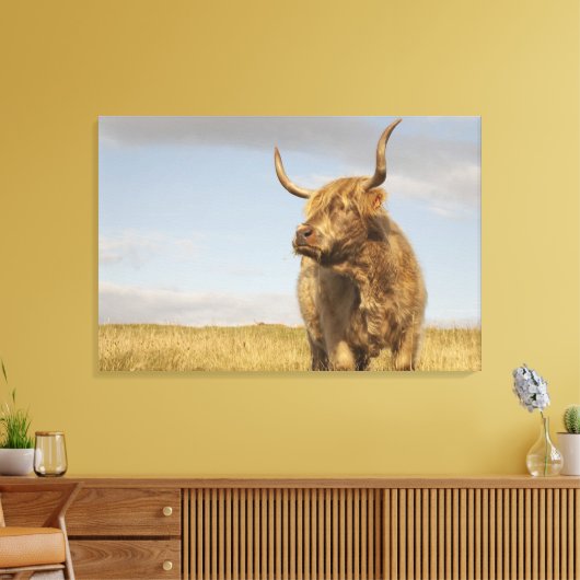 Toile Highland Cow (Insitu(Salon))