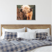 Toile Highland Cow Écosse (Insitu(Chambre))