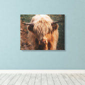 Toile Highland Cow Écosse (Insitu (Plancher de Bois))