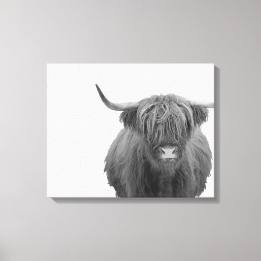 Toile Highland Cow Scotland Russe Noir Blanc (Recto)