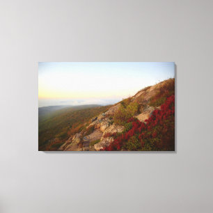 Toile Hillside rocheux, fleurs rouges, parc national