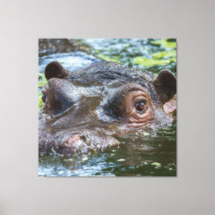 Toile Hippo Dans Le Triptyque De L'Eau