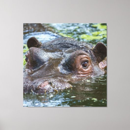 Toile Hippo Dans Le Triptyque De L'Eau (Recto)