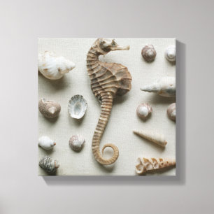 Toile Hippocampe et coquilles