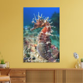 Toile Hippocampe | Hippocampus Ramulosus (Insitu(Salon))