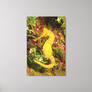 Toile Hippocampe jaune