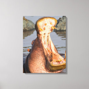 Toile Hippopotame bâillant, Tanzanie