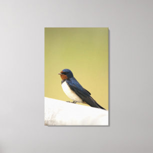 Toile Hirondelle sur un rebord en bois