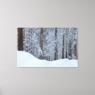 Toile Hiver