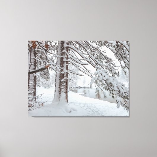Toile Hiver blanc (Recto)