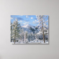 Hiver dans le parc national de Yellowstone, Wyomin