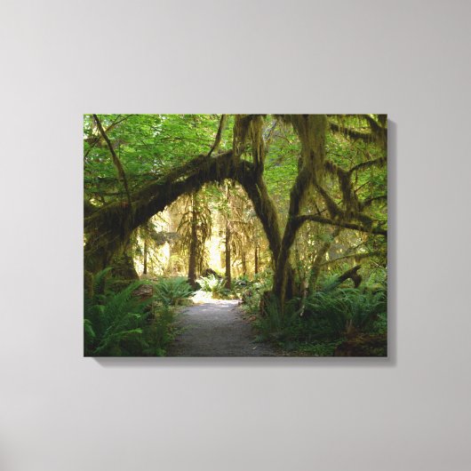 Toile Hoh Rainforest Olympic Penninsula Washington (Recto)