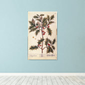 Toile Holly de 'A Curious Herbal', 1782 (Insitu (Plancher de Bois))