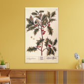 Toile Holly de 'A Curious Herbal', 1782 (Insitu(Salon))