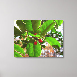 Toile Holly Feuilles II Vacances Nature Botanique