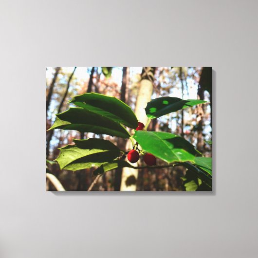 Toile Holly Leaves (Recto)