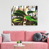 Toile Holly Leaves (Insitu(Salon))
