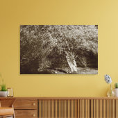 Toile Holly Tree - Sepia (Insitu(Salon))