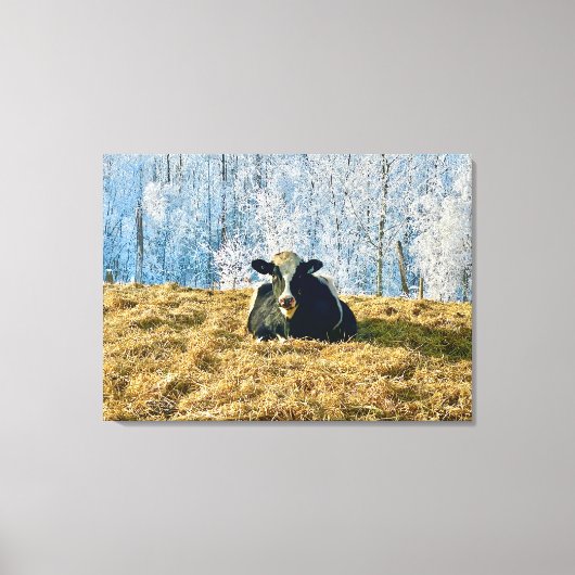 Toile Holstein Calf sur Frosty Alberta Matin (Recto)