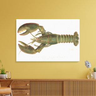 Toile Homard américain - Sherman Denton Fish Lithograph