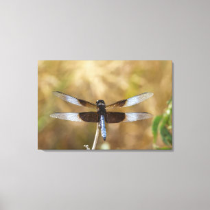 Toile Homme de la veuve