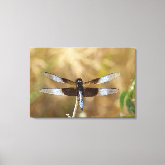 Toile Homme de la veuve (Recto)