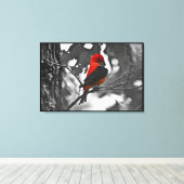 Toile Homme Scarlet Tanager (Insitu (Plancher de Bois))