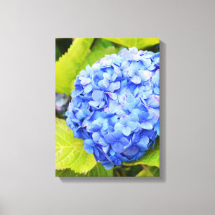Toile Hortensia bleu