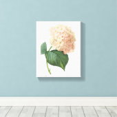 Toile hortensia(Hydrangea sp.) par Redouté (Insitu (Plancher de Bois))