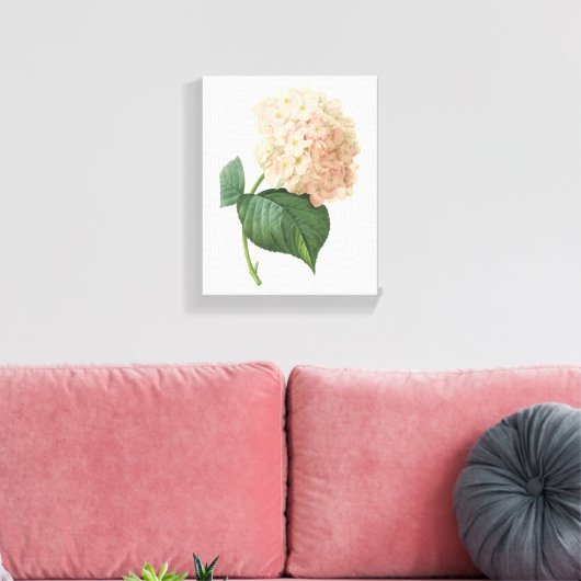 Toile hortensia(Hydrangea sp.) par Redouté (Insitu(Salon))
