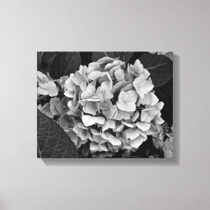 Toile Hortensia noir et blanc d'art de mur