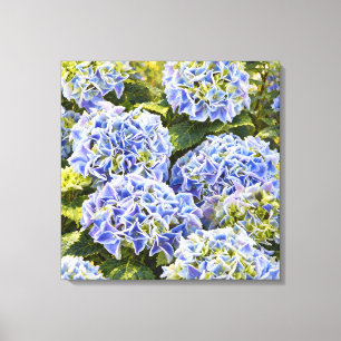Toile Hortensias bleus dans la lumière dorée du jardin