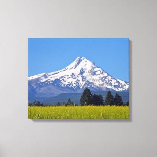 Toile Housse de neige en Oregon, USA (Recto)