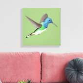 Toile Hovering Jacobin Hummingbird - transparent. (Insitu(Salon))