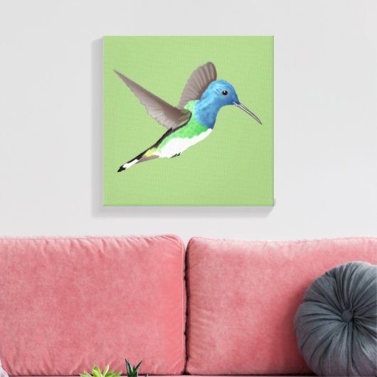 Toile Hovering Jacobin Hummingbird - transparent. (Insitu(Salon))