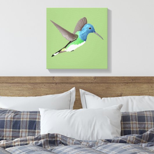 Toile Hovering Jacobin Hummingbird - transparent. (Insitu(Chambre))