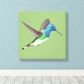 Toile Hovering Jacobin Hummingbird - transparent. (Insitu (Plancher de Bois))