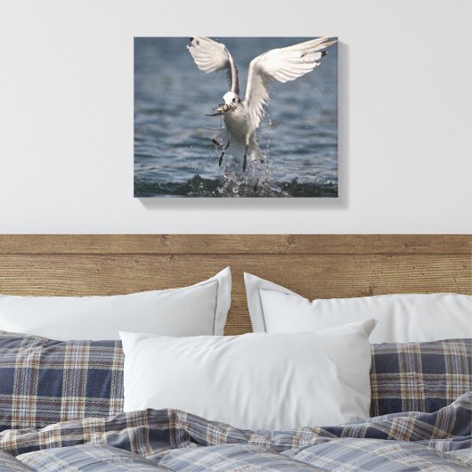 Toile Hovering Kittiwake (Insitu(Chambre))
