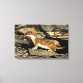 Toile Huile de chasse (Recto)