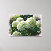 Toile *~* Huile Hydrangea TV2 Art Stretted Canvas Imprim (Recto)